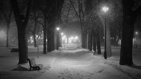 Instagram the obligatory photo of a snowy, beautiful campus. | The 25 Stages Of Having A Snow Day In College Winter Love Quotes, Snow Gif, Snowy Night, Relaxing Gif, Night Gif, Street Lights, Winter Love, Arte Obscura, Christmas Gif