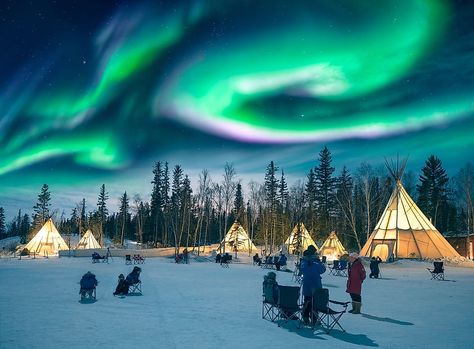 Aurora Village, Northern Lights Canada, 7 Natural Wonders, See The Northern Lights, Tromso, Trondheim, The Aurora, Beautiful Places To Travel, Aurora Borealis