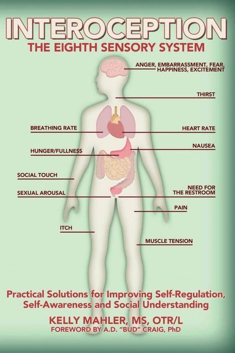 Vestibular System, Sensory System, Understanding Emotions, Positive Mental Health, Sensory Issues, Sensory Processing Disorder, Body Awareness, Sensory Processing, Self Regulation