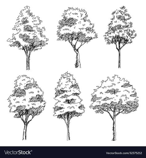 Trees Sketch, Croquis Architecture, Architectural Trees, Tree Sketch, Illustration Landscape, Landscape Design Drawings, Landscape Architecture Drawing, Tree Drawings Pencil, Nature Sketch