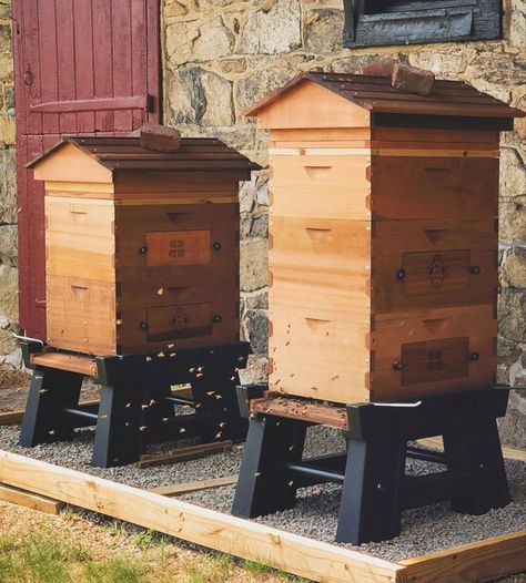 Hive Stands, Bee Hive Stand, Hive Stand, Farm Buildings, Wildlife Sanctuary, Smart Design, Design Products, Bee Keeping, Bee Hive