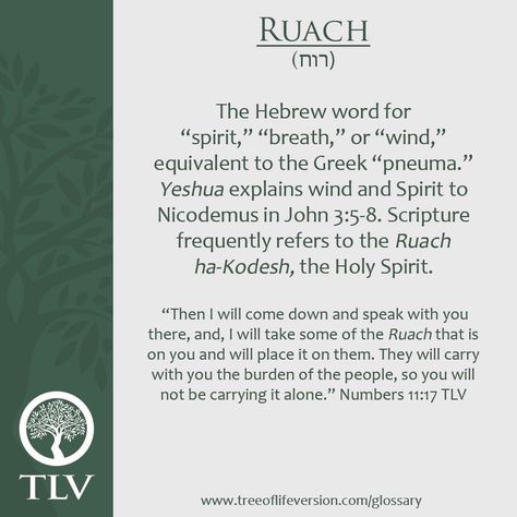 Ruach, breath, prana. Holy Spirit. White Throne, Bible Maps, Bible Learning, Religious Sayings, Kids Worship, Hebrew Vocabulary, Learning Hebrew, Torah Study, Messianic Judaism