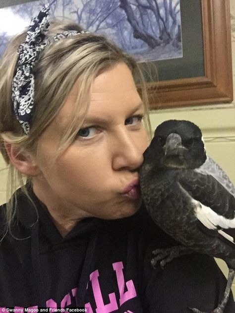 She was rescued 12 months ago by Lisa Davis and her partner Adam Leslie after they found h... Family On A Farm, Adopted Family, Lisa Davis, Facebook L, Hit By A Car, Magpie, Great Photos, A Car, The Road