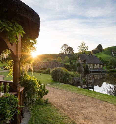 3,647 Likes, 19 Comments - Shaun Jeffers (@shaun_jeffers) on Instagram: “Enjoying a Hobbiton brewed Southfarthing amber ale while watching the sunset... the best time to be…” Hobbiton New Zealand, Watching The Sunset, The Shire, New Zealand Travel, Tourist Places, Enjoy Nature, Photography Travel, The Sunset, Places Around The World