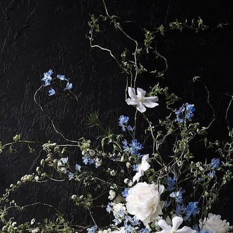 Putnam Flowers on Instagram: "Winter in the city ❄️ Flashback to this moody composition in the studio 💙" Putnam Flowers, Moody Blue Wedding, Deep Blue Wedding, Moody Wedding Flowers, Moody Winter Wedding, Winter In The City, Wild Flower Arrangements, Thistle Wedding, Dark Blue Flowers