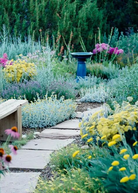 11 Drought-Tolerant Landscaping Ideas That Save Water and Look Amazing Perennial Garden Plans, Taman Air, Drought Tolerant Perennials, Low Water Gardening, Drought Tolerant Garden, Wildlife Garden, Drought Tolerant Landscape, Have Inspiration, The Secret Garden