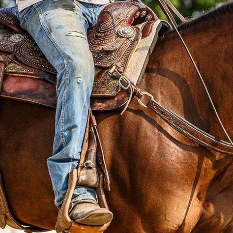 Reining Horses, Into The West, Cowgirl And Horse, Western Life, Western Riding, Cowboy Up, Cowboy Art, Quarter Horse, Horse Photography