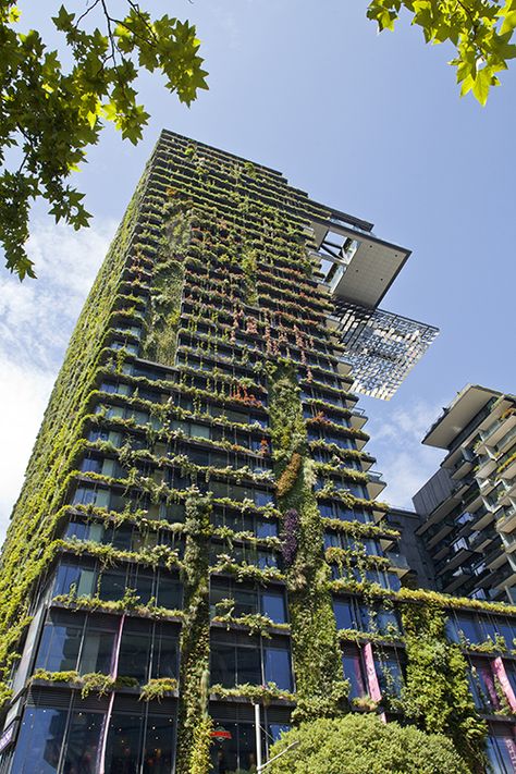 Our Fantastic Green Facade at One Central Park in Sydney 3 years on | Tensile Design & Construct One Central Park, Ecology Design, Green Facade, Jean Nouvel, Green Architecture, Green City, Building Facade, Sustainable Architecture, Green Roof