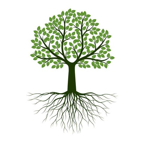 Tree With Roots Drawing, Tree And Roots, Tree Of Life Logo, Roots Drawing, Tree With Roots, Tree Doodle, Tree Sketches, Tree Clipart, Color Illustration