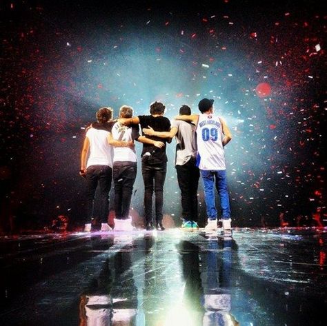 #onedirection #zayn #liam #harry #louis #niall One Direction Imagines, One Direction Concert, One Direction Photos, One Direction Pictures, I Love One Direction, 1 Direction, Take Me Home, Zayn Malik, Liam Payne