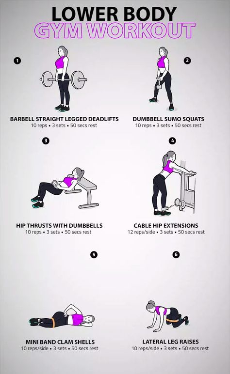 Lower Body Gym Workout Lower Body Gym Workout, Lower Body Workout Gym, Body Gym Workout, Back Workout Bodybuilding, Reps And Sets, Barbell Workout, Body Gym, Sumo Squats, Hip Thrust