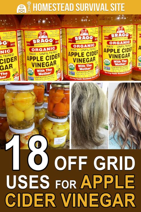 One of the most overlooked multipurpose products is apple cider vinegar. No one’s kitchen or medicinal cabinet is truly complete without it. #homesteadsurvivalsite #applecidervinegar #offgrid #naturalremedies #upcycling Uses For Apple Cider, Apple Cider Vinegar Uses, Homestead Style, Mother Health, Vinegar Uses, Survival Hacks, Natural Cough Remedies, Homestead Survival, Homemade Remedies