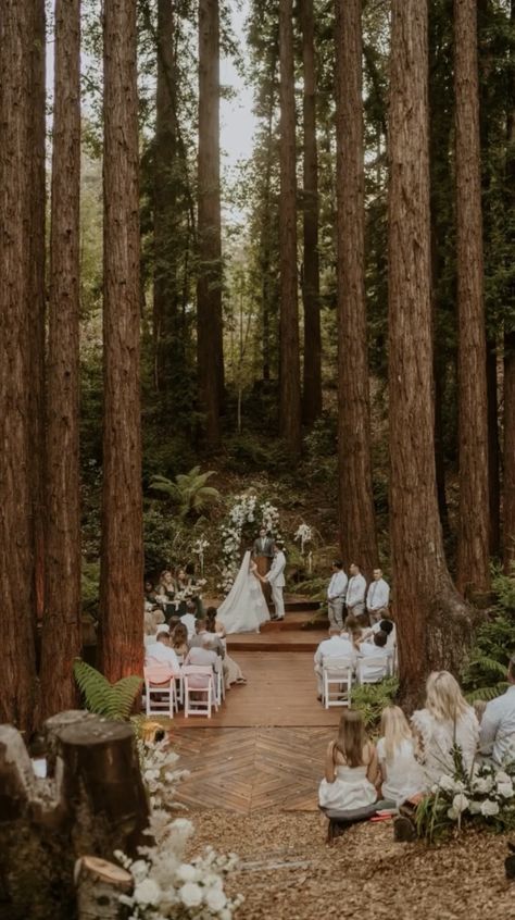 Small Forest Wedding Ideas, Small Forest Wedding Ceremony, Small Forest Wedding, Forest Wedding Ceremony, Moss Wedding, Small Weddings Ceremony, Small Forest, Hopes And Dreams, Forest Wedding