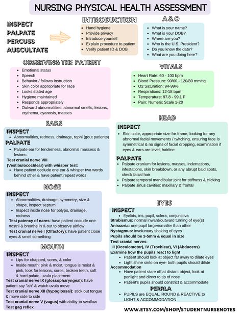 Patient Assessment Nursing, Abdomen Assessment Nursing, Nurse Notes Study Guides, Physical Assessment Nursing, Fundamentals Of Nursing Notes, Head To Toe Assessment Nursing, Nursing Terminology, Nurse Charting, Clinical Assistant