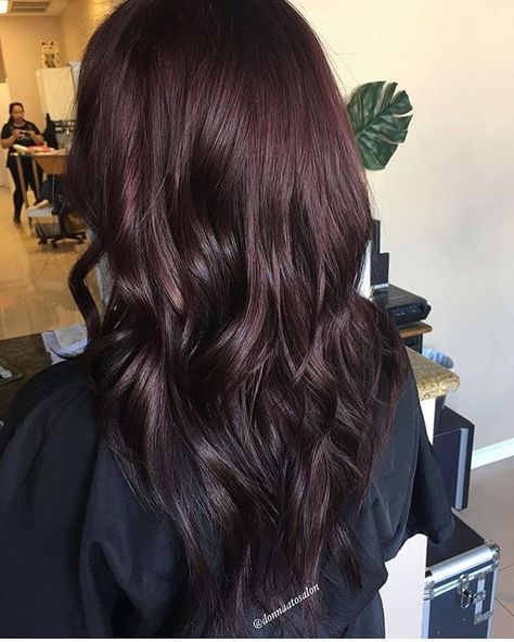 Darkest Brunette with a burgundy hue. Color by @donnaatosalon  #hair #hairenvy #hairstyles #haircolor #brunette #darkbrunette #newandnow #inspiration #maneinterest Highlights Burgundy, Pelo Color Vino, Cherry Hair Colors, Auburn Balayage, Ombre Burgundy, Brown Hair Shades, Cherry Hair, Hair Color Burgundy, Dark Red Hair