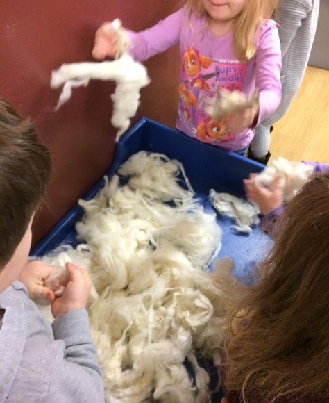 Sheep Sensory Bin, Mini Beasts, Farm Crafts, Animal Science, Sheep Farm, Sensory Bin, Sensory Bins, Sensory Activities, Sheep Wool