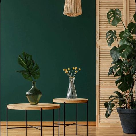 The Housing Clipboard on Instagram: “#colortrends2021 🌱😌💚 Credit: @pinterest 🔶🔸🔹🔷 @thehousingclipboard Follow us for more inspiring photos✨ Don’t miss out “Deal of the…” Black Painted Walls, Gold Wall Decor, Living Room Green, Paint Colors For Living Room, Green Interiors, Green Rooms, Styl Boho, Design Living Room, Dream Rooms