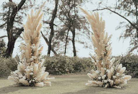 Matrimonio Pampas, White Pampas Wedding, Pampas Wedding Arch, Arbour Florals, Pampas Wedding Decor, Wedding Pampas, Alter Flowers, Pampas Wedding, White Pampas