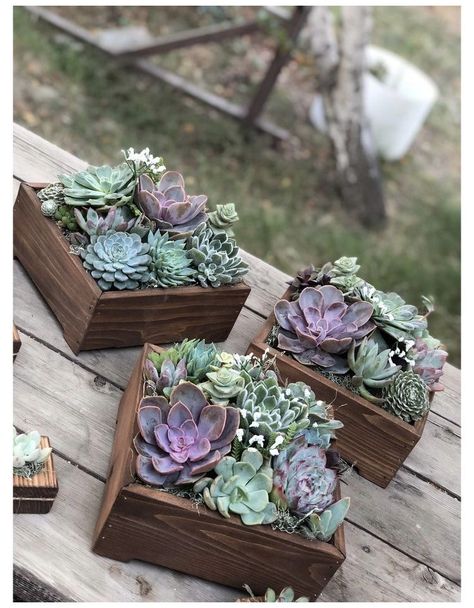 Centerpiece Succulent, Succulent Wedding Decor, Succulent Wedding Centerpieces, Purple Wedding Centerpieces, Succulent Wedding Favors, Succulent Favors, Deco Champetre, Succulent Centerpieces, Succulent Garden Diy