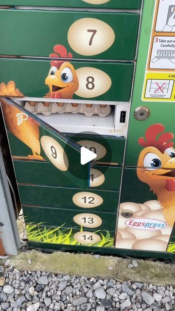 Pubity on Instagram: "This is genius 🥚

(@aaronleecraig via BViral)

-
#egg #eggs #chicken #farm #vending #pubity" Funny Easter Eggs, Family Compound, Chicken Farming, Housing Ideas, Funny Farm, Easter Humor, Chicken Farm, Everyday Objects, Chicken Coop