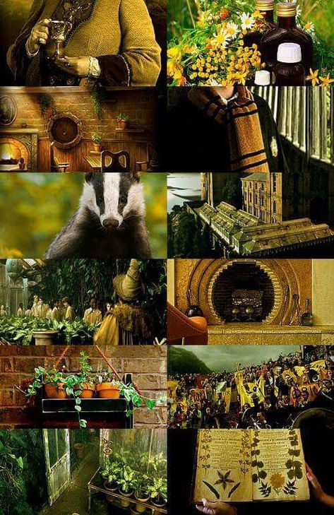 Hufflepuff Aesthetics, Hufflepuff Aesthetic, Hufflepuff Pride, Hufflepuff House, Prince Caspian, Collage Inspiration, Fall Mood, Harry Potter Hufflepuff, Harry Potter Houses