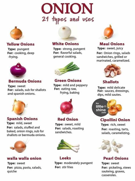 Onion Types, Culinary Basics, Fruits And Vegetables List, Vegetables List, Types Of Onions, Culinary Techniques, Food Infographic, Cooking Guide, Onion Recipes