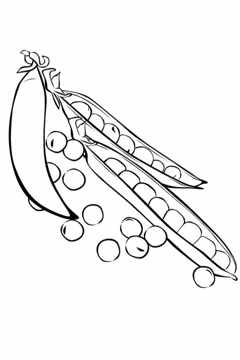 https://kidipaint.com/coloring-pages/food/vegetables-9/ Check more at https://kidipaint.com/coloring-pages/food/vegetables-9/?utm_source=pinterest Peas Drawings, Pea Pods, Coloring Pages, Drawings, Color, Art