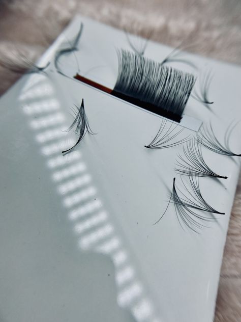 Lash Fans, Lash Extension, Lash Extensions, Eyelashes, Lashes, Fan, Quick Saves