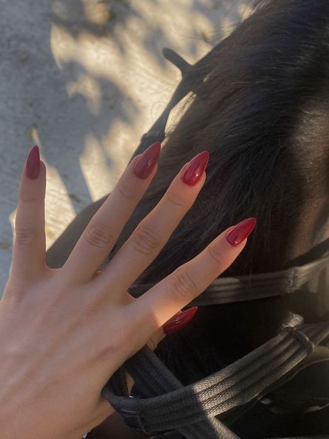 Equestrian Nails, Nails Horse, F1 Girl, Horse Nails, Barbie Things, Equestrian Aesthetic, 12 Dancing Princesses, Horse Aesthetic, My Horse