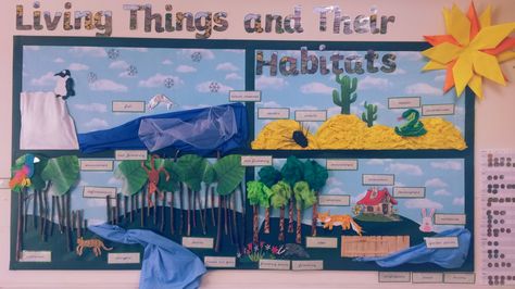 Classroom Habitat Displays, Habitats Bulletin Board, Habitat Bulletin Board Ideas, Living Things And Their Habitats Display, Year 2 Science Display, Animals And Habitats, Science Display Ks2, Animal Science Projects, Zoo Education