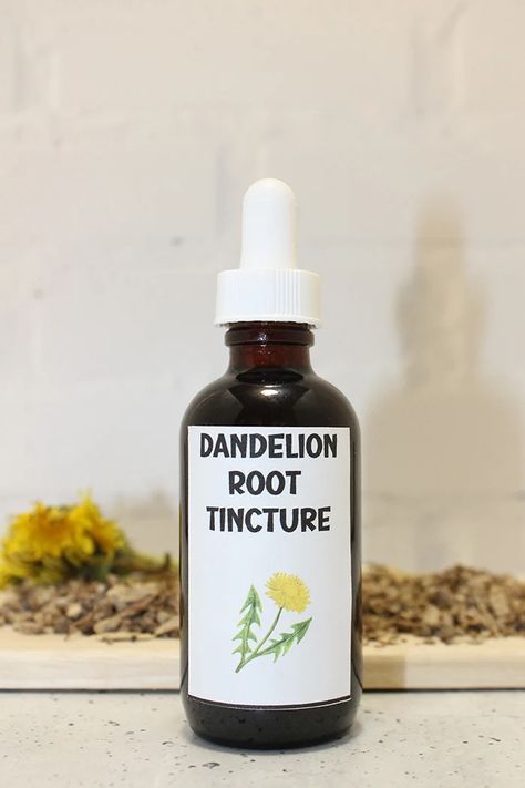 How to Make Dandelion Tincture - Everything Pretty Dandelion Tincture, Tinctures Recipes, Herbal Remedies Recipes, Dandelion Root, Herbal Remedies, Natural Health, Glass Jars, Diy Gifts, Vodka