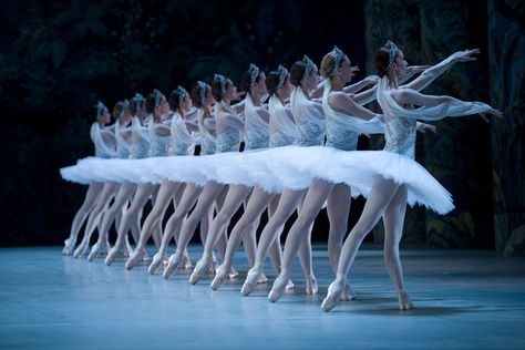 Paris Opera Ballet Svetlana Zakharova, Opera Ballet, Rudolf Nureyev, Paris Opera Ballet, American Ballet Theatre, Classical Ballet, Fred Astaire, Ballet Photography, Ballet Beautiful