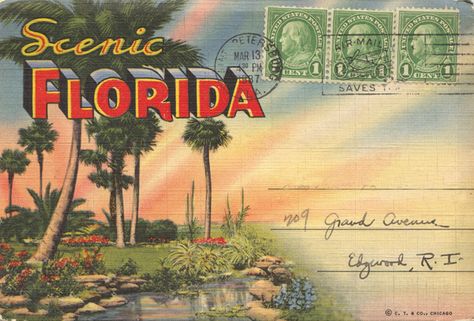 1937 Florida fold-out postcard #florida Vintage Summer Postcards, Tropical Postcard, Postcards Inspiration, Florida Postcard, Postcard Wall, Moving To Miami, Surf Poster, Florida Hotels, Travel Postcard