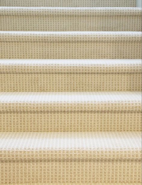 Wall To Wall Carpet, Basement Carpet, Hotel Carpet, Red Carpet Runner, Hallway Carpet Runners, Carpet Trends, Buying Carpet, Cheap Carpet Runners, Beige Carpet