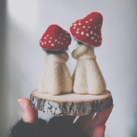 Fall Foraging, Flowers In Winter, Nature Lessons, Tovad Ull, Living Off The Grid, Felt Mushroom, Science Learning, Needle Felted Christmas, Boreal Forest