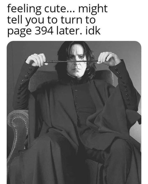 Snape Meme, Snape Funny, Harry Potter Snape, Page 394, Severus Snape Art, Turn To Page 394, Feeling Cute Might, Alan Rickman Severus Snape, Snape Harry Potter