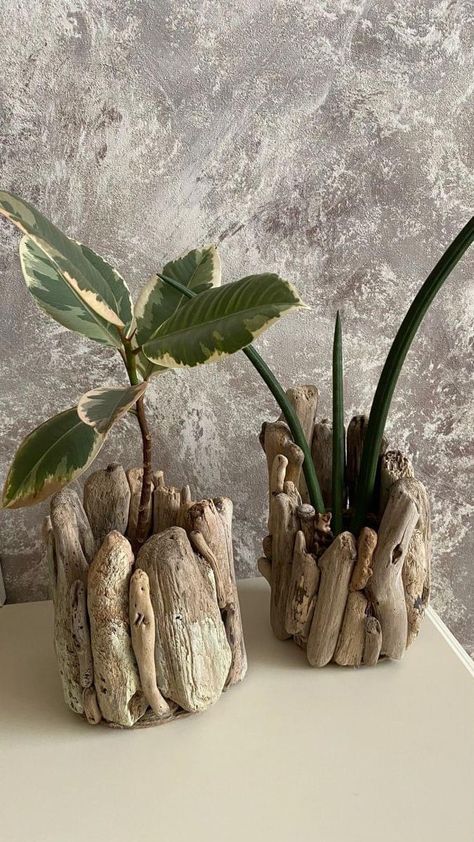 Driftwood Diy, Driftwood Art Diy, Driftwood Projects, Deco Nature, Driftwood Decor, Driftwood Crafts, Room Deco, Deco Floral, Beach Crafts