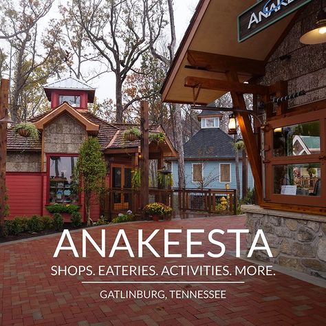 With duel ziplines, incredible treehouses, a canopy walkway, tasty cuisine, and fun shops, there’s something for the whole family to enjoy at Anakeesta, an aerial adventure park in Gatlinburg! #greatsmokymountains #cabinsforYOU #Gatlinburg #PigeonForge #tennessee #travel #Smokies #Anakeesta #Kids #outdoor #activities #discover #area Gatlinburg And Pigeon Forge Tennessee, Anakeesta Gatlinburg, Tennessee Family Vacation, Canopy Walkway, Gatlinburg Tennessee Vacation, Magical Mountain, Tennessee Road Trip, Kids Outdoor Activities, Smokey Mountains Vacation