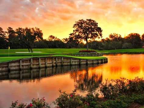 Beautiful Golf Courses, Golf Course Photography, Top Golf Courses, Augusta Golf, Famous Golf Courses, Golf Photography, Public Golf Courses, Best Golf Courses, Golf Set