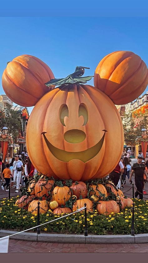 Disneyland Halloween pumpkin Mickie Mouse Disney Phone Backgrounds, Disney Fall, Mouse Pumpkin, Mickey Mouse Pumpkin, Mickey Pumpkin, Disneyland Halloween, Disneyland Pictures, Halloween Pumpkin, Phone Backgrounds