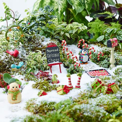 Studio M - What's New for Fall & Winter 2015. Gypsy Garden by Genevieve Gail. Fall Fairy Garden, Fall Garden Ideas, Ideas Para Decorar Jardines, Winter Fairy Garden, Christmas Fairy Garden, Fall Fairy, Fairy Garden Ideas, Fairy Garden Designs, Autumn Fairy