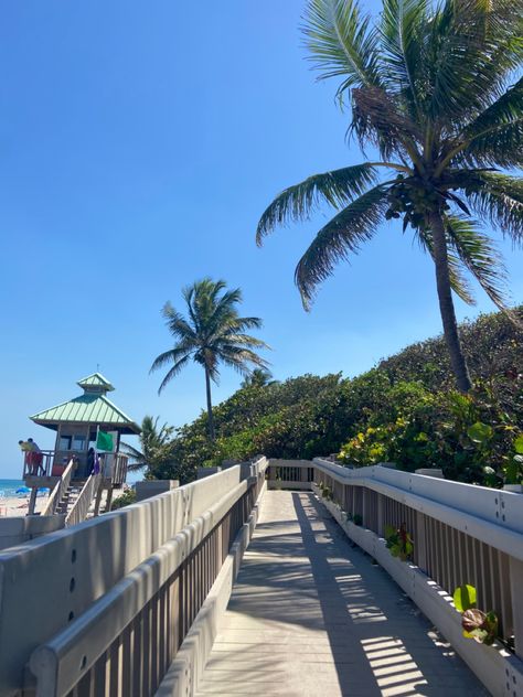 College On The Beach, University Of South Florida Aesthetic, Florida Atlantic University Aesthetic, Fort Lauderdale Florida Aesthetic, Fau University, Palm Beach Atlantic University, Beach University, Florida Fort Lauderdale, Florida Atlantic University