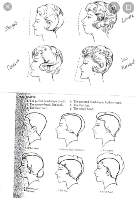 Protruding Chin, Facial Types, Types Of Facials, Heads Up, Soft Hair, The Temple, Show Me, The Face, Bangs