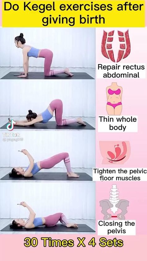 Pin by leistallion on A tik tok [Video] | Kegel exercise, Bodyweight workout beginner, Postnatal workout Lose 10 Kg, Post Pregnancy Workout, Baby Workout, Latihan Kardio, Latihan Yoga, Kegel Exercise, Postnatal Workout, Full Body Gym Workout, Post Partum Workout