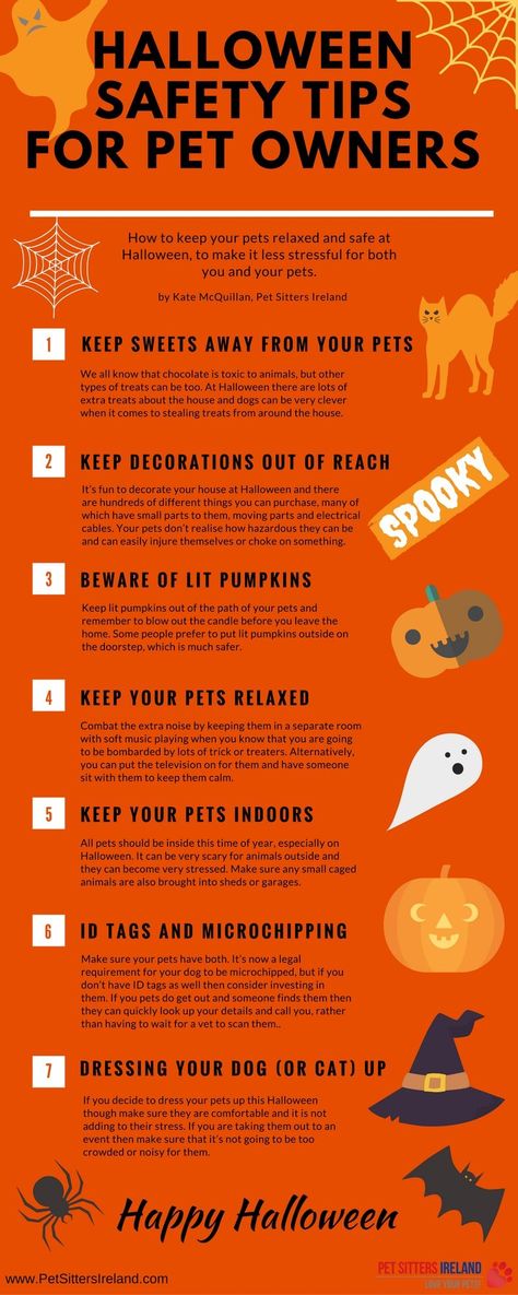 Help your pets stay relaxed and safe this Halloween! Halloween Pet Safety, Halloween Safety Tips, Halloween Safety, Companion Animals, Love Your Pet, Halloween Animals, Pet Sitters, Pet Safety, Animal Companions