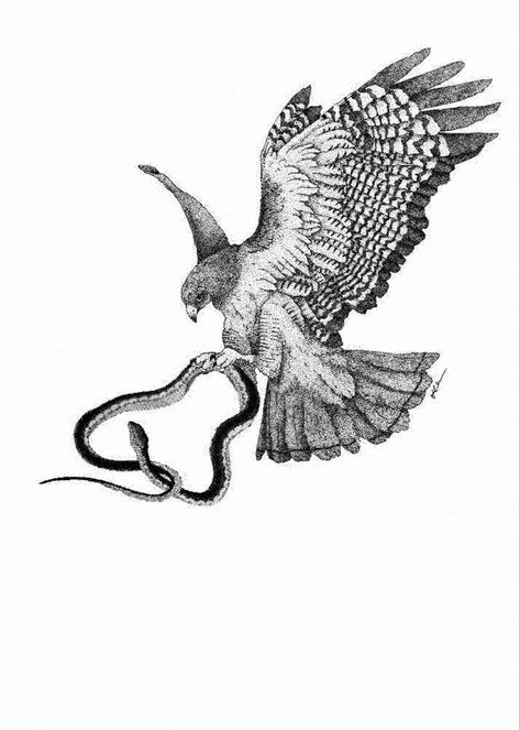 Greek Mythology Eagle Tattoo, Falcon And Snake Tattoo, Eagle Snake Tattoo Design, Bird Of Prey Tattoo Men, Bird With Snake Tattoo, Hawk And Snake Tattoo, Hawk Neck Tattoo, Eagle Catching Snake Tattoo, Eagle Eating Snake Tattoo