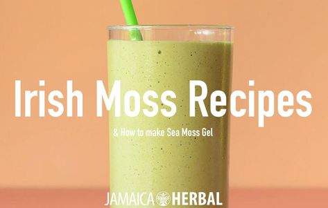 Delicious Sea Moss Recipes (Irish Moss) and How to Make Sea Moss Gel — Jamaica Herbal Sea Moss Recipes, Make Sea Moss Gel, Irish Moss Recipes, Banana Apple Smoothie, Irish Sea Moss, Sea Moss Gel, Irish Moss, Smoothie Prep, Red Algae