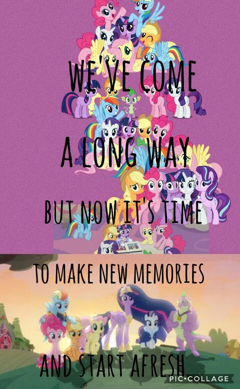 Pony Quotes, Mlp Quotes, Elements Quote, Pony Cartoon, Mlp Ships, My Little Pony Poster, Pony Pictures, Mlp Characters, My Lil Pony