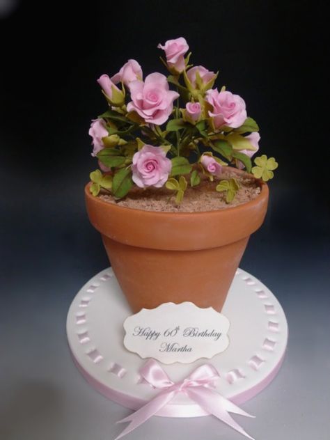 Pot Cake Design, Flower Pot Cake, Pot Cake, Pot Cakes, Beyond Imagination, Cake Central, 3d Cake, 80th Birthday Party, Flower Cookies