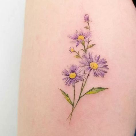 Daisy Tattoo Meaning, Aster Flower Tattoo, Aster Tattoo, Small Daisy Tattoo, Aster Flower Tattoos, Daisy Tattoo Designs, Daisy Flower Tattoos, Daffodil Tattoo, Flower Tattoo Meanings